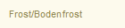 Frost/Bodenfrost